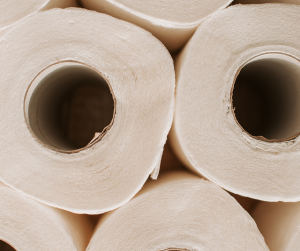 loo roll toilet roll